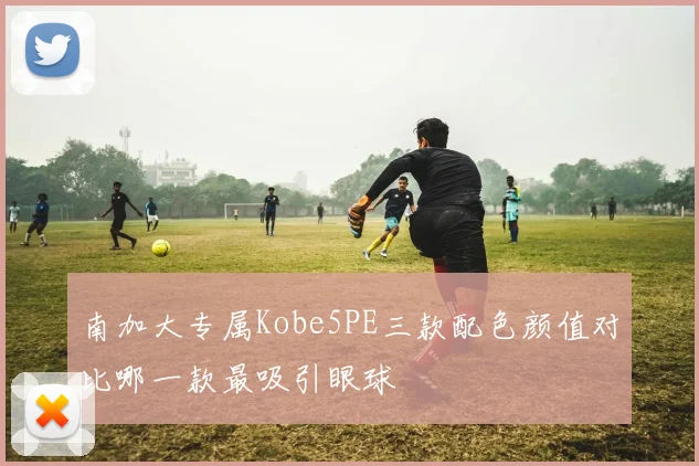 南加大专属Kobe5PE三款配色颜值对比哪一款最吸引眼球